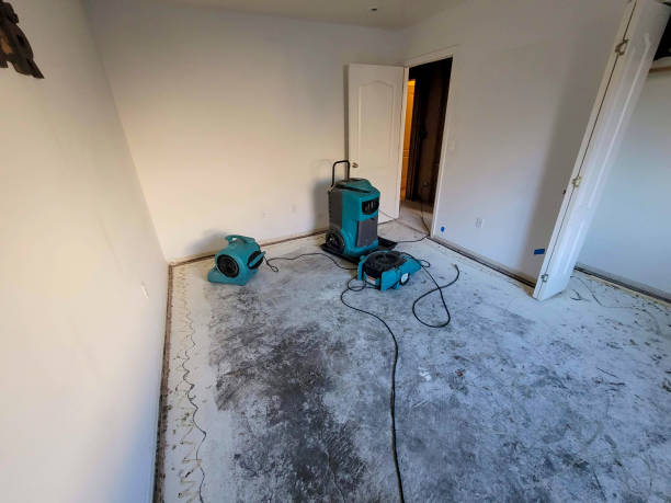 Best Sewage cleanup and water damage restoration  in Argo, AL
