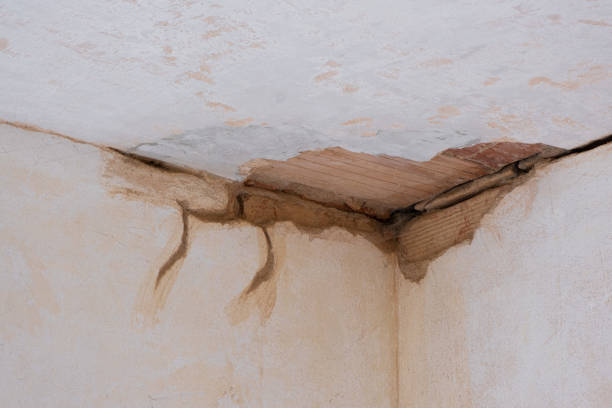 Best 24/7 water damage repair  in Argo, AL