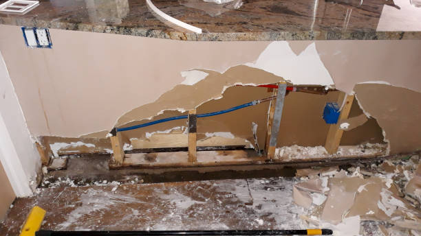 Best Water damage restoration near me  in Argo, AL