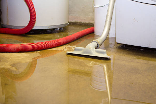 Best Professional water damage repair  in Argo, AL